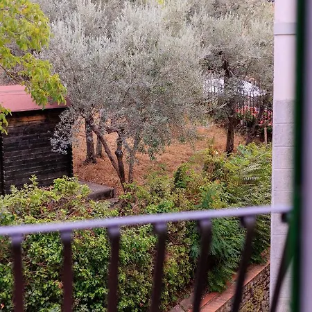 Bonelli Fiesole