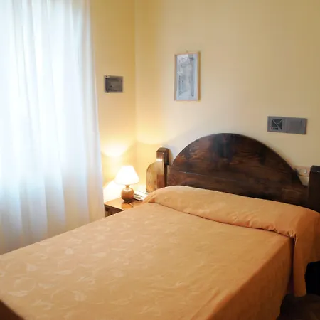 Bonelli 3* פייזולה