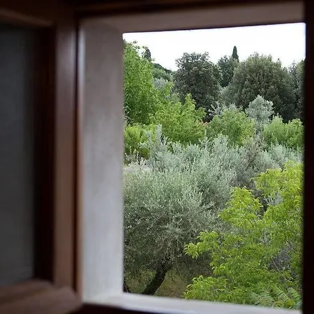 Bonelli Hotel 3*