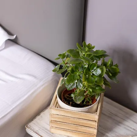 Hotel Bonelli 3*